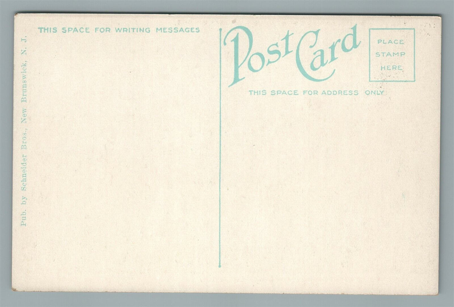 NEW BRUNSWICK NJ RARITAN BOAT CLUB & COUNTY BRIDGE ANTIQUE POSTCARD