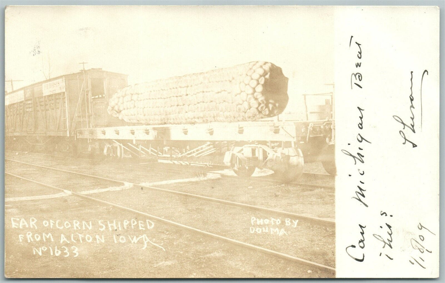 EXAGGERATED CORN ALTON IA 1909 ANTIQUE REAL PHOTO POSTCARD RPPC railroad railway