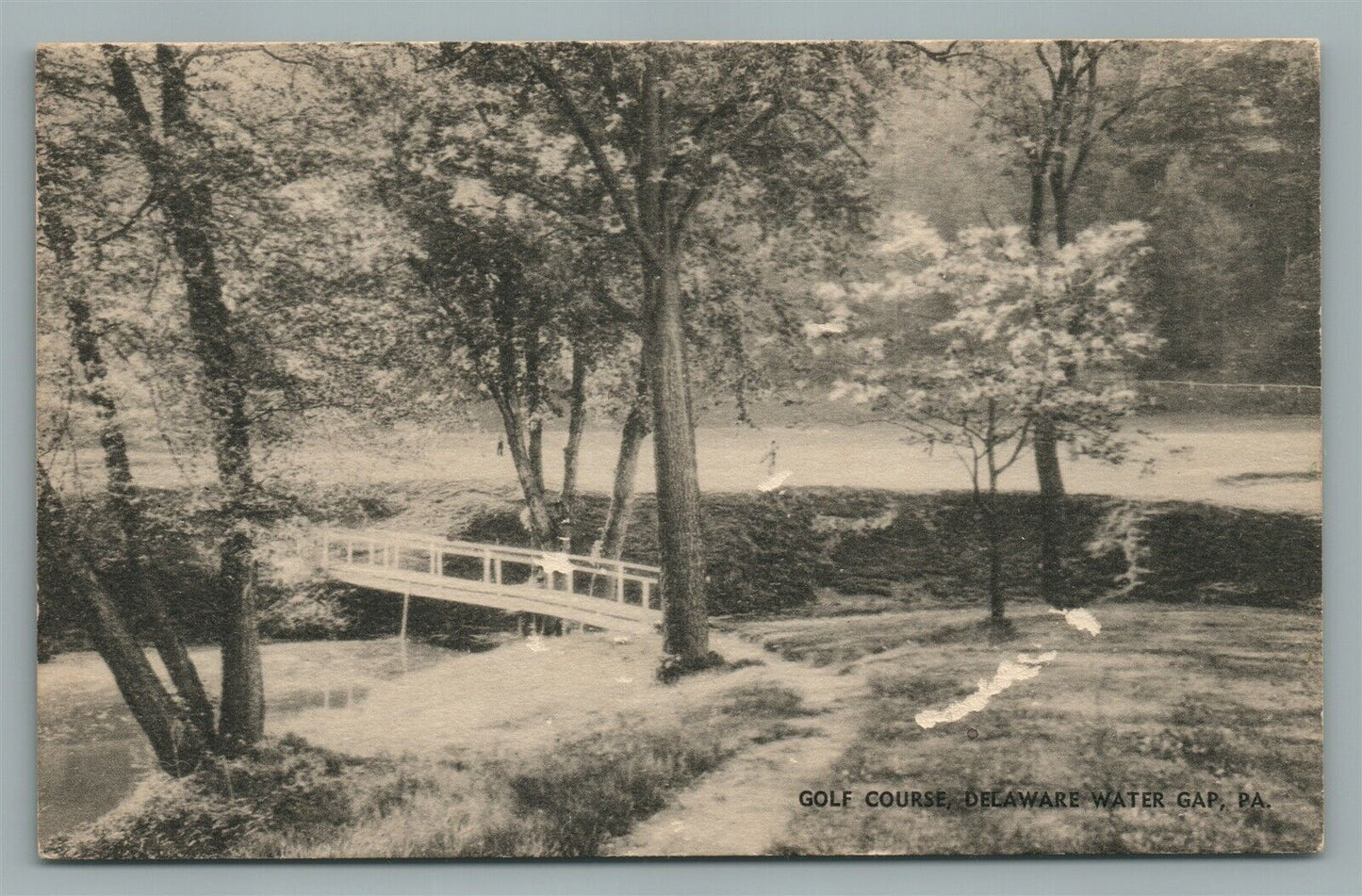 DELAWARE WATER GAP PA GOLF COURSE ANTIQUE POSTCARD