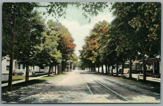 WEBSTER NY EAST MAIN STREET ANTIQUE POSTCARD