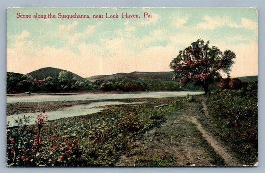 LOCK HAVEN PA SCENE 1912 ANTIQUE POSTCARD