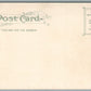 NEWTON MA FARLOW PARK ANTIQUE POSTCARD