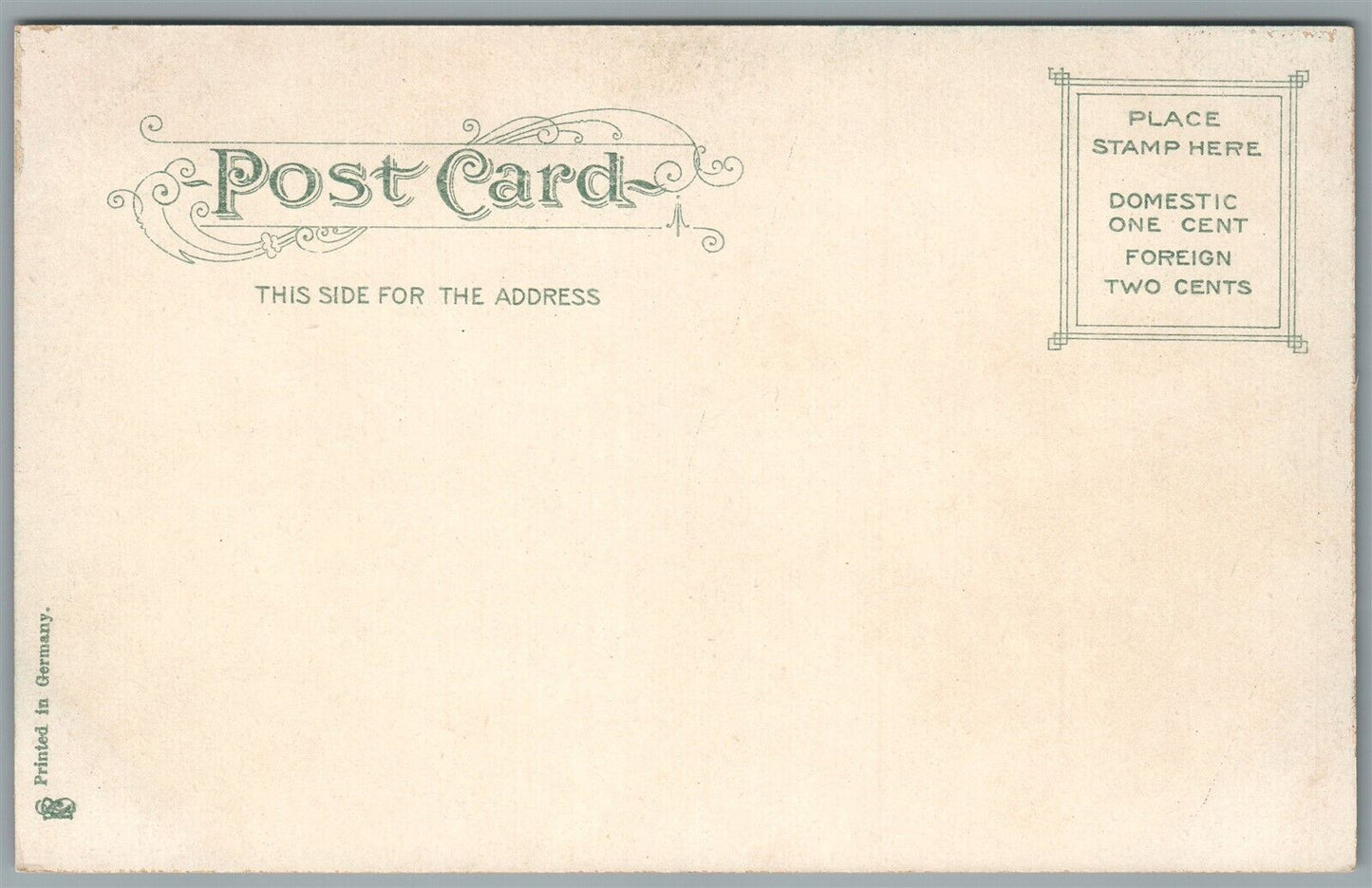 NEWTON MA FARLOW PARK ANTIQUE POSTCARD