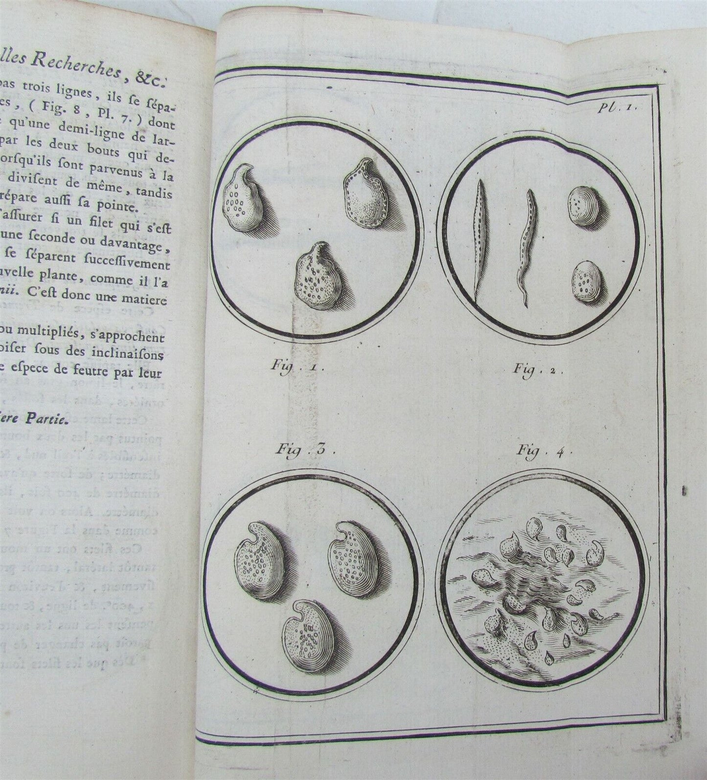 1749 METAPHYSICS PHYSICS MICROSCOPY 2 VOLUMES ILLUSTRATED antique SCIENCE