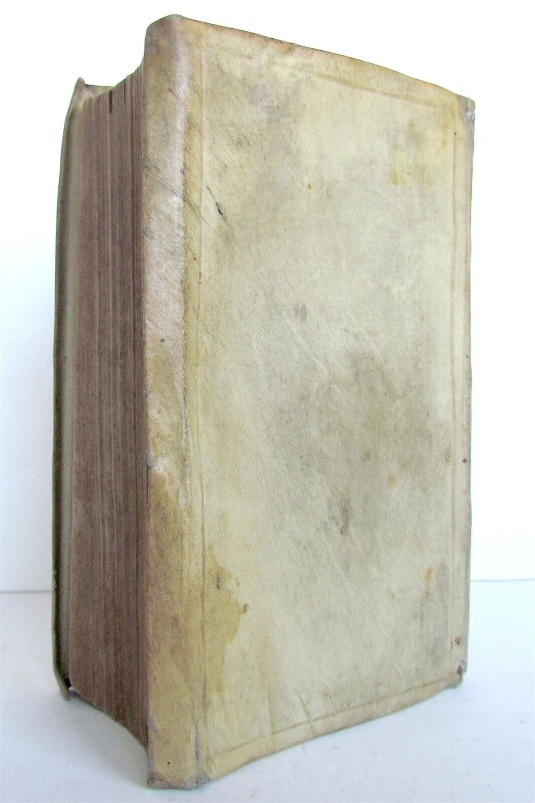 1592 LAW BOOK NOVELLARUM CONSTITUTIONUM antique Jacques Cujas in LATIN vellum