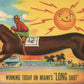 MIAMI FL HORSE RACING VINTAGE POSTCARD