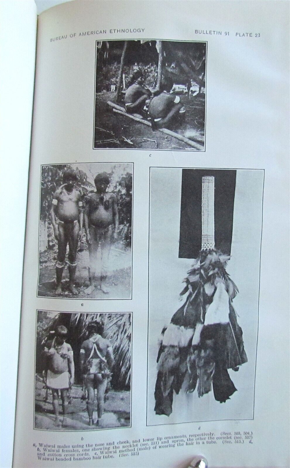 1929 BUREAU of AMERICAN ETHNOLOGY by J. POWELL antique CUSTOMS of GUIANA INDIANS