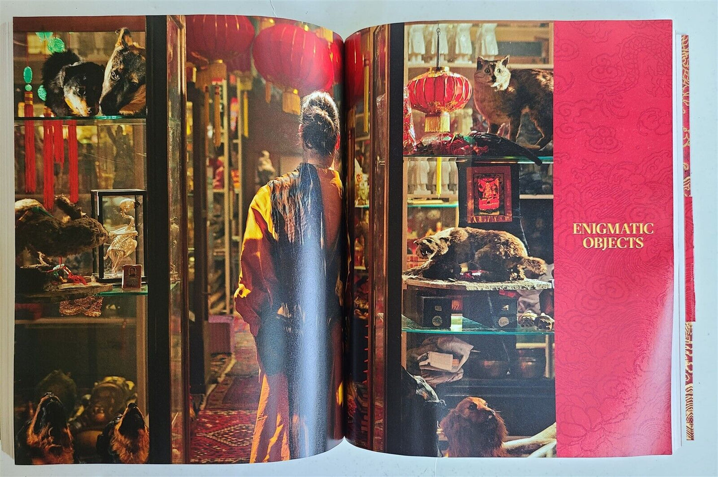 CHINA THROUGH THE LOOKING GLASS FASHION ART ILLUSTRATED ALBUM