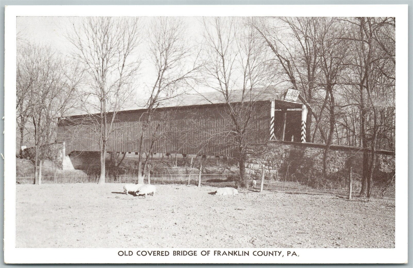 FRANKLIN COUNTY PA OLD COVERED BRIDGE VINTAGE POSTCARD