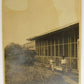 RPPC BLACK AMERICANA KIDS ANTIQUE 1910s UNUSED REAL PHOTO POSTCARD