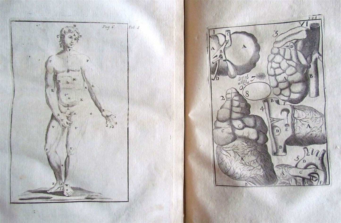 1717 2 VOLUMES ANATOMY ILLUSTRATED CORPORIS HUMANI ANATOMIAE antique in LATIN