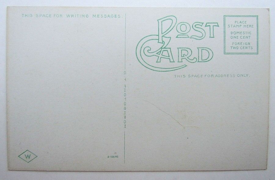 VINTAGE POSTCARD AROUND NEVERSINK MOUNTAIN READING PA train railroad railway