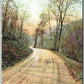 VALLEY FORGE PA VALLEY CREEK ROAD 1910 ANTIQUE POSTCARD