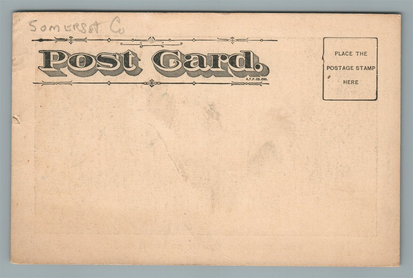 SOUTH BRANCH NJ PINE TERRRACE ANTIQUE POSTCARD