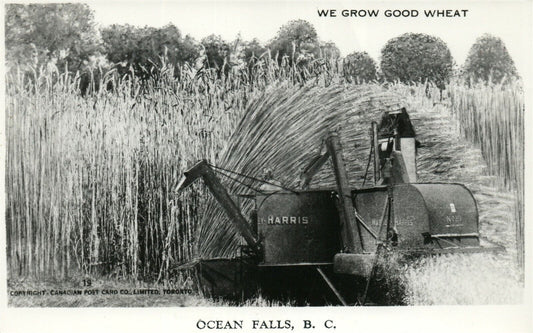 OCEAN FALLS BC CANADA EXAGGERATED WHEAT COMBINE VINTAGE REAL PHOTO POSTCARD RPPC