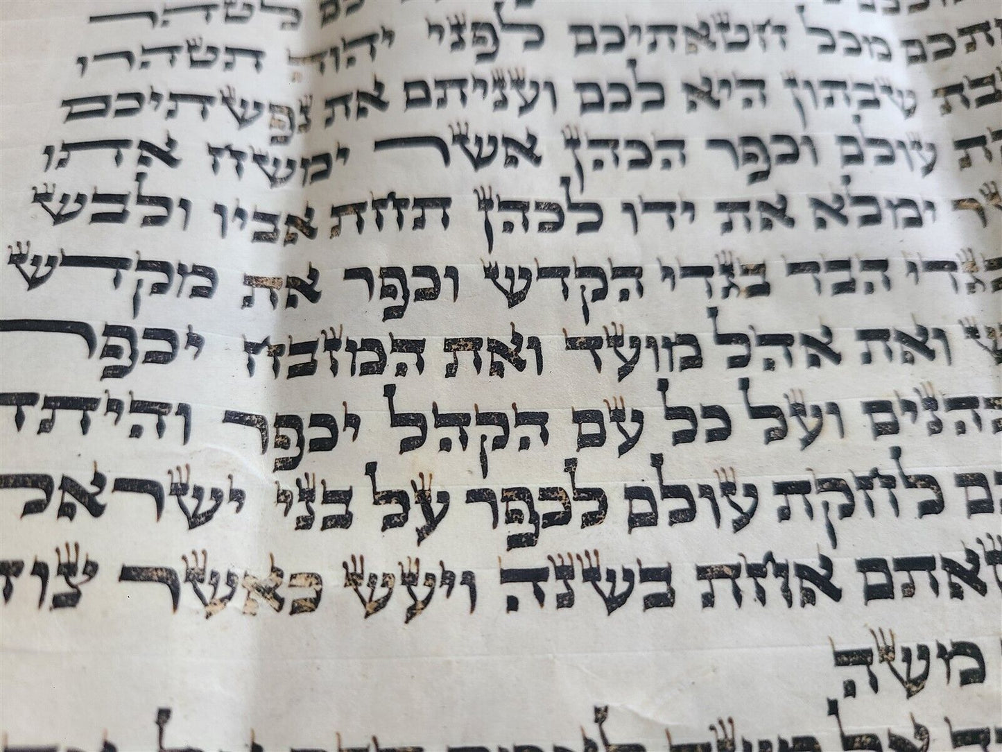 TORAH SCROLL FRAGMENT MANUSCRIPT on VELLUM ANTIQUE BIBLE 18.5 x 19.5"