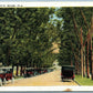 MIAMI FL PALM AVENUE ANTIQUE POSTCARD