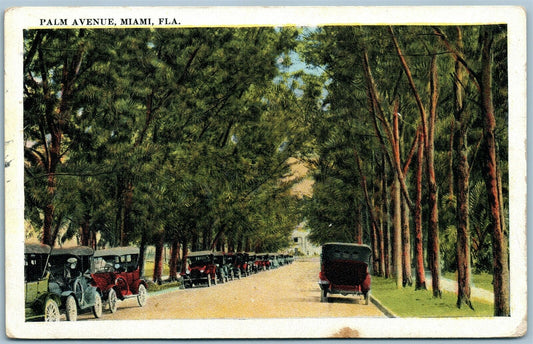 MIAMI FL PALM AVENUE ANTIQUE POSTCARD