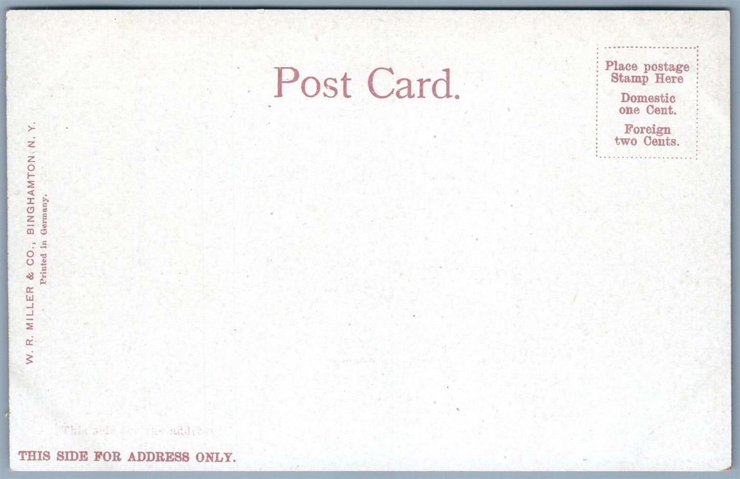 BINGHAMPTON NY SOUTH FROM COURT STREET BRIDGE UNDIVIDED ANTIQUE POSTCARD