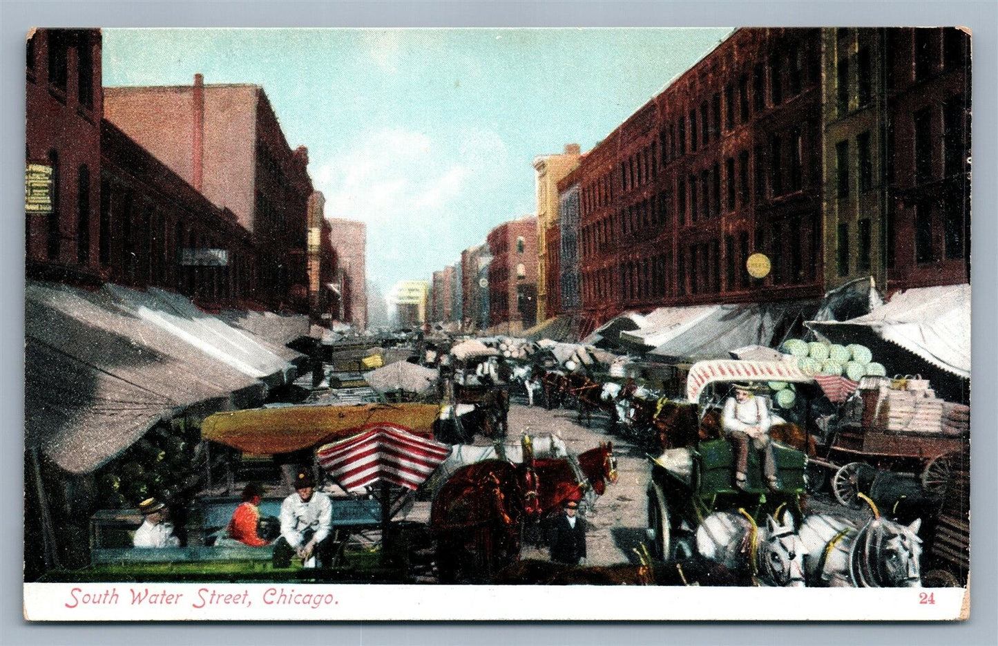 CHICAGO IL SOUTH WATER STREET ANTIQUE POSTCARD