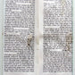 TORAH SCROLL FRAGMENT MANUSCRIPT VELLUM ANTIQUE BIBLE 12 1/4 x 18 1/2"