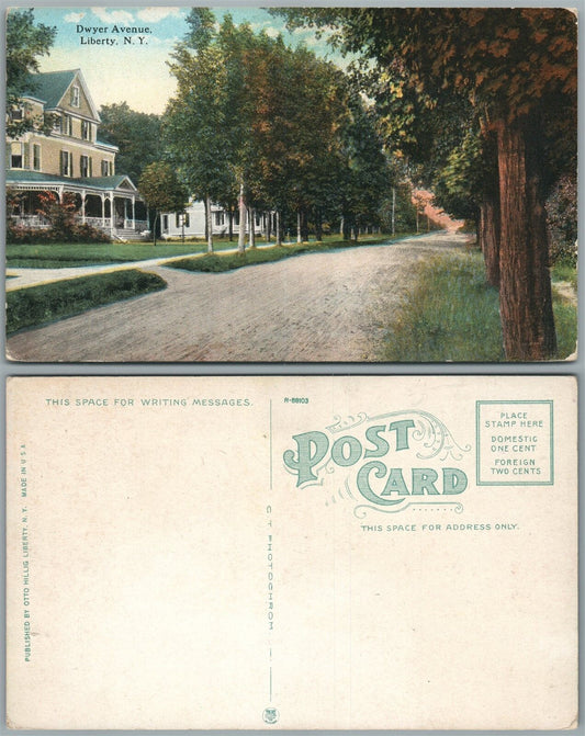LIBERTY N.Y. DWYER AVENUE ANTIQUE POSTCARD