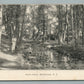 MONTCLAIR NJ RAND PARK ANTIQUE POSTCARD