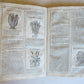 1667 HERBARIO NOVO by Castore DURANTE antique PLANTS BOTANY FULLY ILLUSTRATED