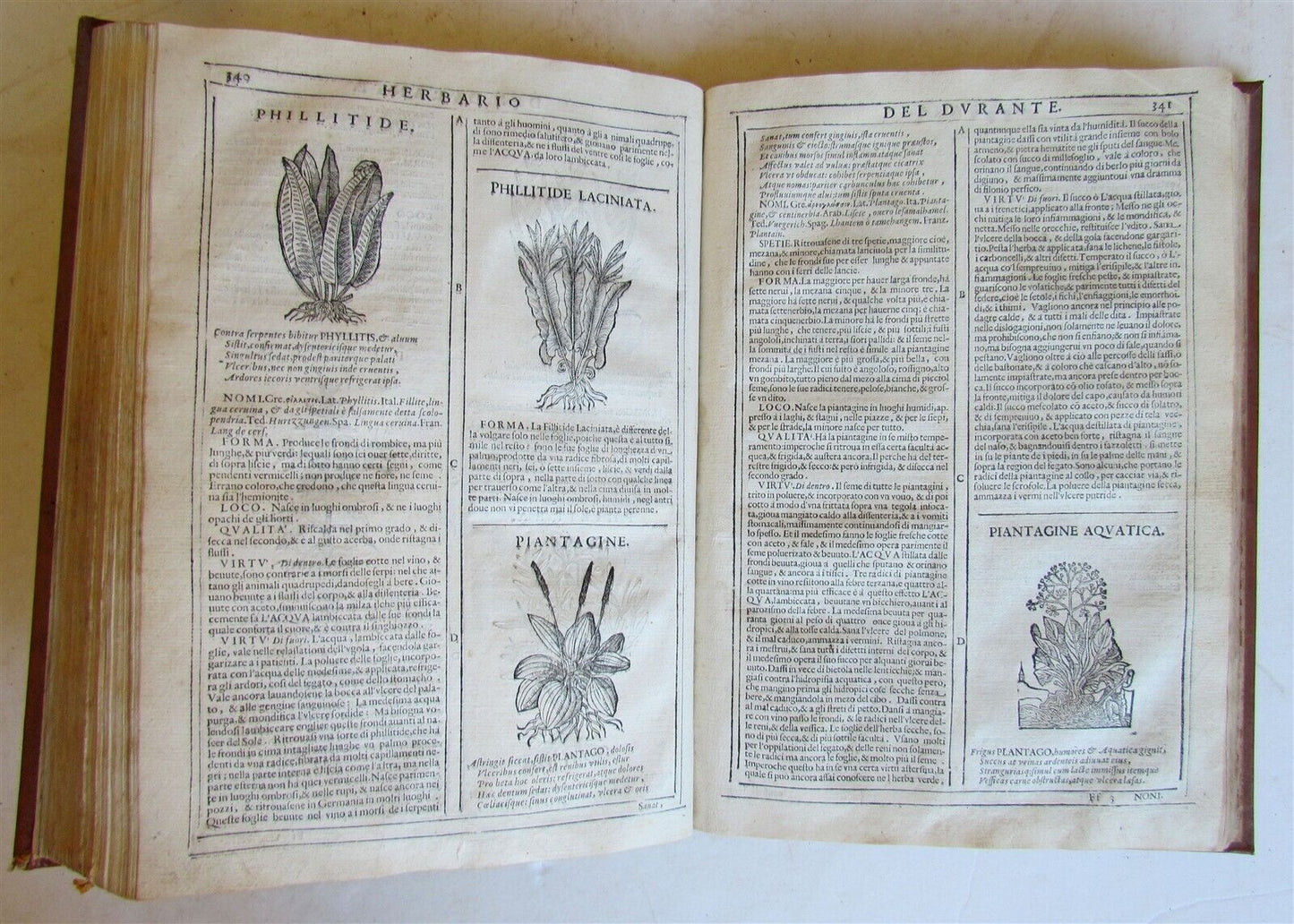 1667 HERBARIO NOVO by Castore DURANTE antique PLANTS BOTANY FULLY ILLUSTRATED