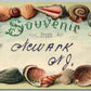 NEWARK NJ EMBOSSED ANTIQUE POSTCARD w/ SHELL BORDER