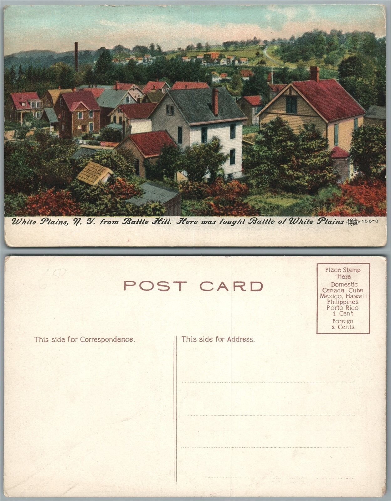 WHITE PLAINS N.Y. FROM BATTLE HILL ANTIQUE POSTCARD