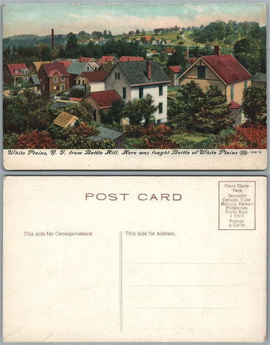 WHITE PLAINS N.Y. FROM BATTLE HILL ANTIQUE POSTCARD