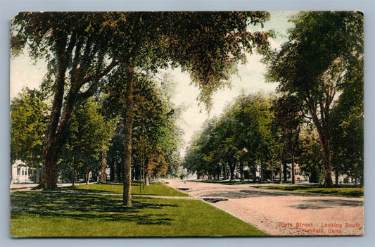 LITCHFIELD CT SOUTH STREET ANTIQUE POSTCARD