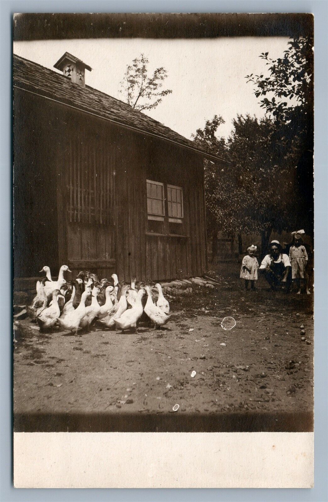 FARM SCENE w/ GEESE ANTIQUE REAL PHOTO POSTCARD RPPC