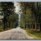 MOUNT HOLLY NJ GARDEN STREET ANTIQUE POSTCARD