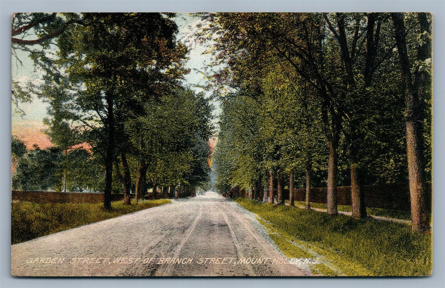 MOUNT HOLLY NJ GARDEN STREET ANTIQUE POSTCARD