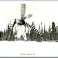YUKON CANADA EXAGGERATED MOSQUITO w/ RABBIT VINTAGE REAL PHOTO POSTCARD RPPC