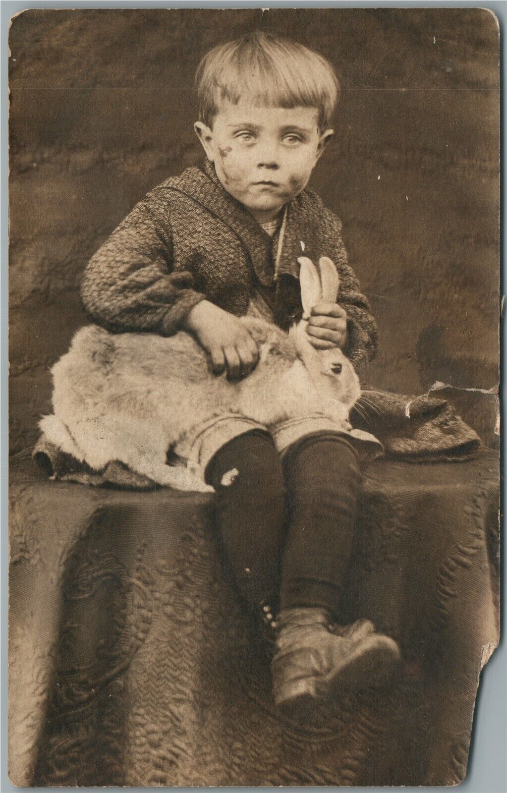 LITTLE BOY w/ RABBIT ANTIQUE REAL PHOTO POSTCARD RPPC