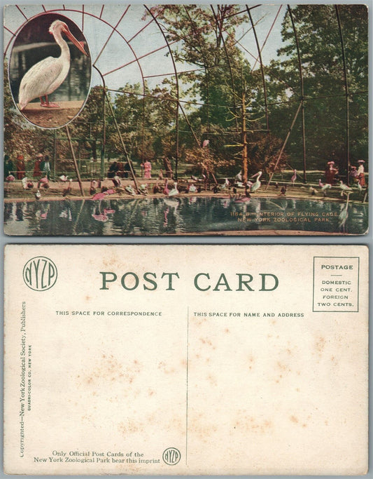 NEW YORK ZOO N.Y. ANTIQUE POSTCARD INTERIOR OF FLYING CAGE