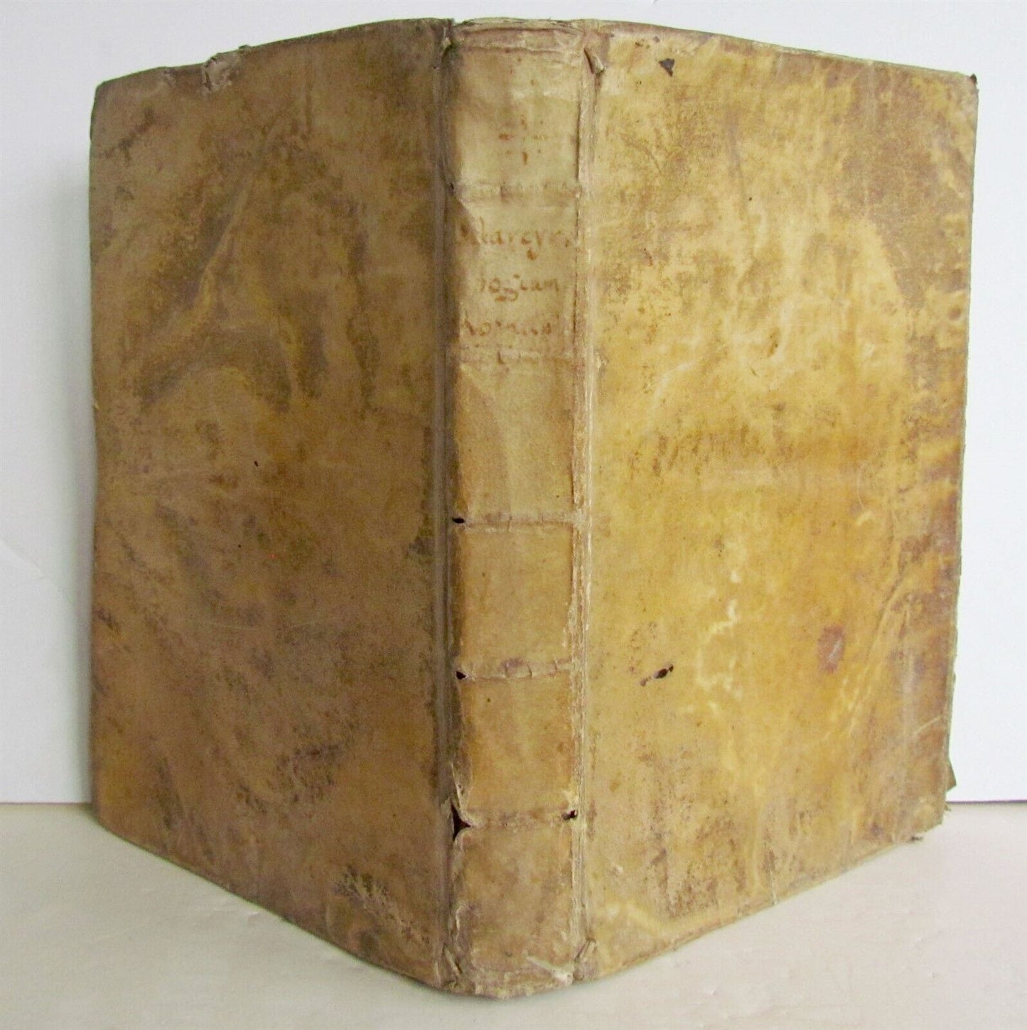 1732 ROMAN MARTIROLOGY antique VELLUM BOUND MARTIROLOGIUM ROMANUM