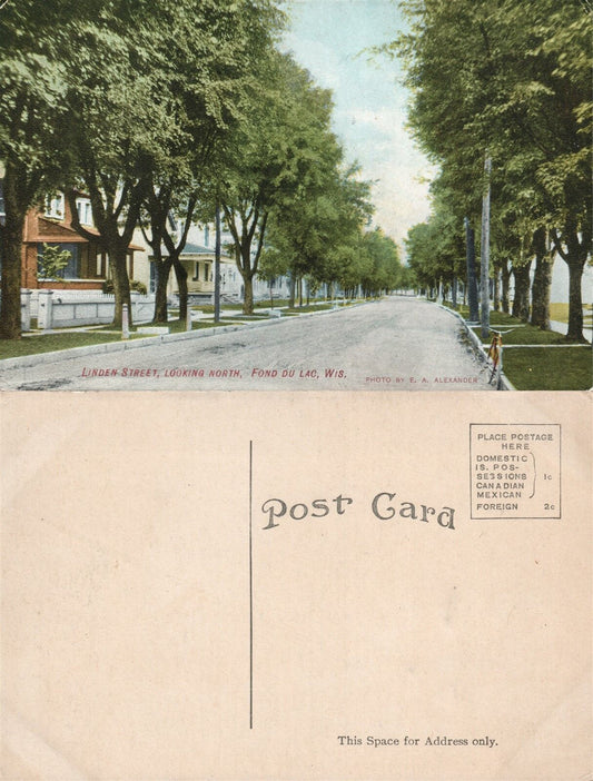 FOND DU LAC WI LINDEN STREET ANTIQUE POSTCARD