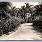 MISSION CLIFF GARDENS SAN DIEGO CA ANTIQUE REAL PHOTO POSTCARD RPPC