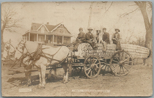 NEBRASKA CORN EXAGGERATED NE ANTIQUE REAL PHOTO POSTCARD RPPC