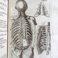 1717 2 VOLUMES ANATOMY ILLUSTRATED CORPORIS HUMANI ANATOMIAE antique in LATIN