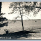 DOUGLASTON LONG ISLAND NY SHORE ROAD VINTAGE REAL PHOTO POSTCARD RPPC