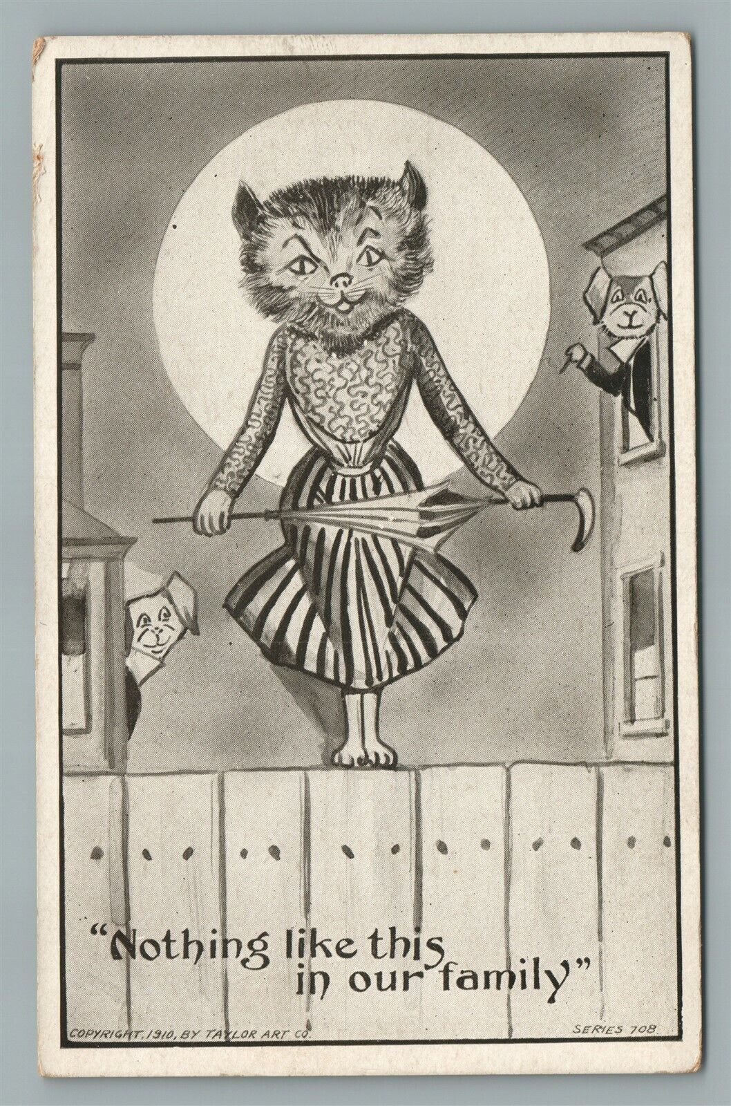 DRESSED CAT ANTIQUE POSTCARD NOTHING LIKE THIS IN OUR FAMILY