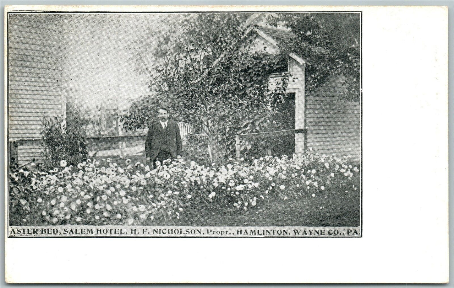 HAMILTON WAYNE COUNTY PA SALEM HOTEL ASTER BED UNDIVIDED ANTIQUE POSTCARD