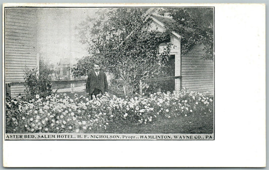 HAMILTON WAYNE COUNTY PA SALEM HOTEL ASTER BED UNDIVIDED ANTIQUE POSTCARD