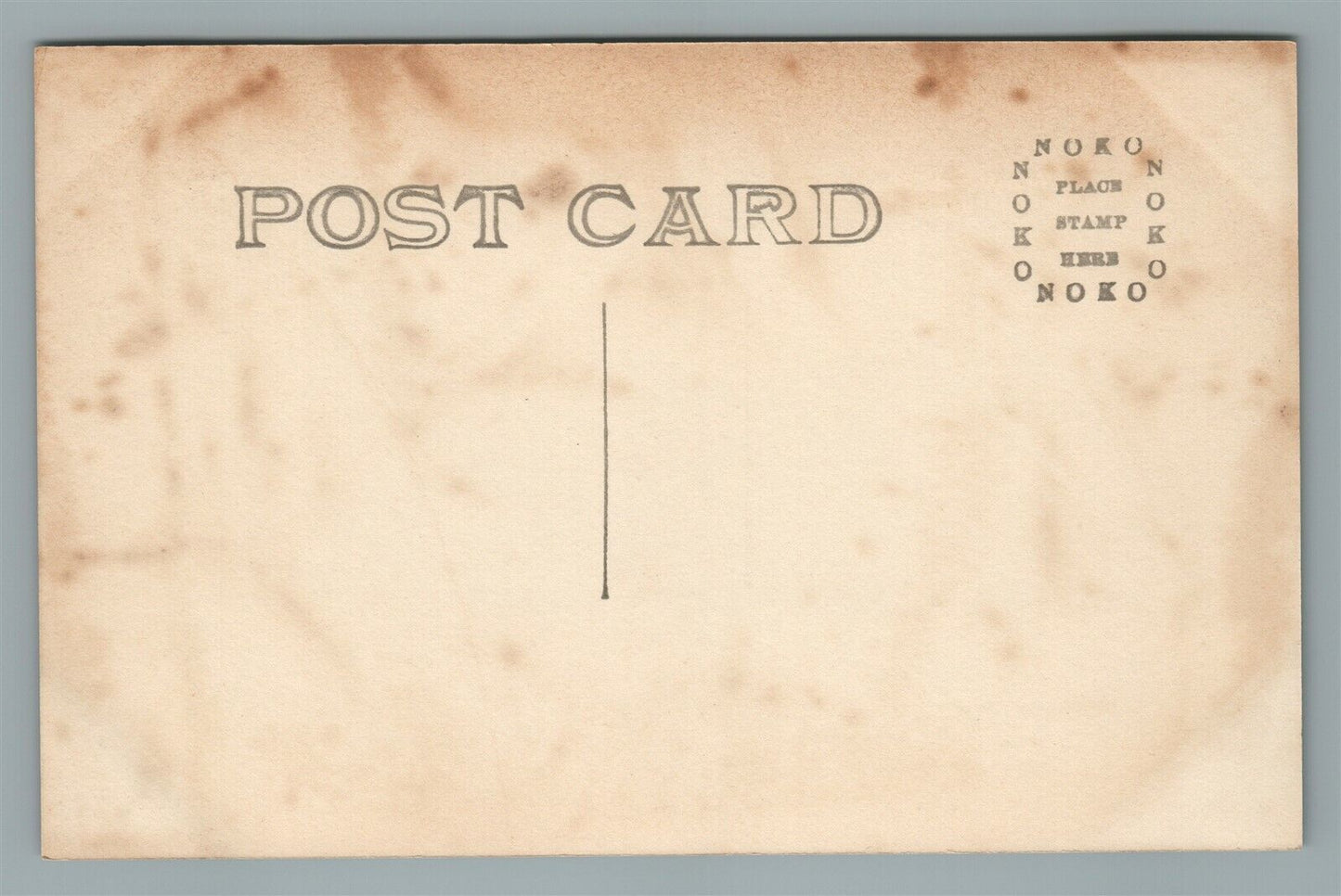 CATSKILL MTS NY BIRDS EYE VIEW FROM STAR ROCK ANTIQUE REAL PHOTO POSTCARD RPPC