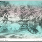 MARSHALL MINN. FISHING ANTIQUE EXAGGERATED POSTCARD